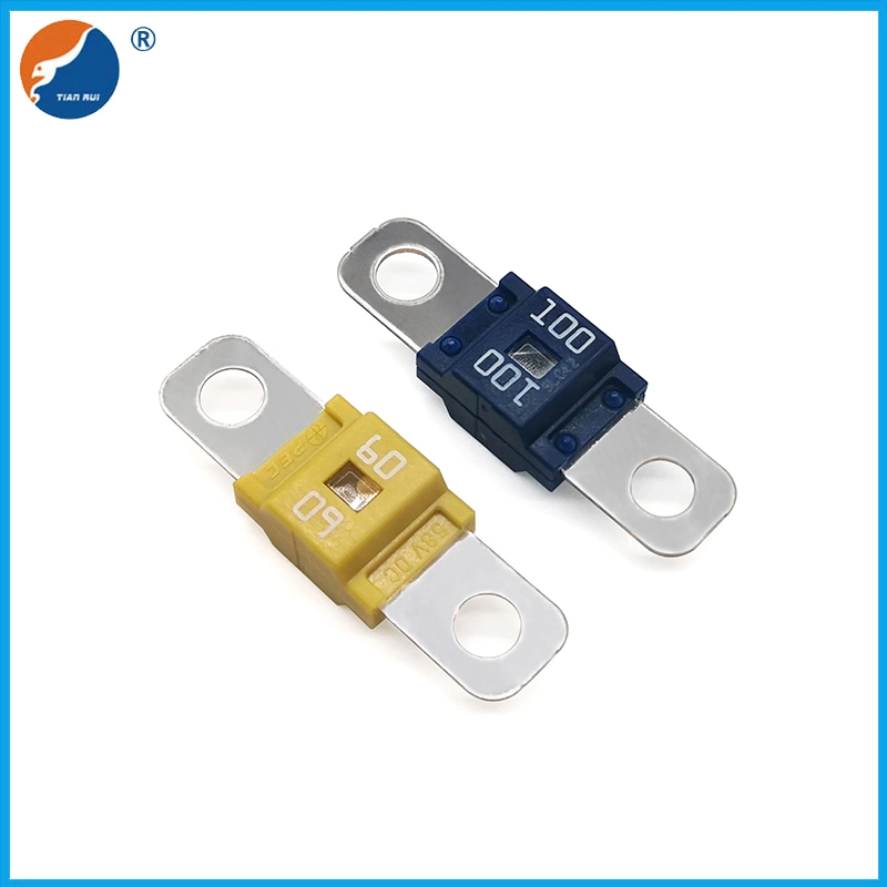 Pec Fuse 30A 40A 50A 60A 70A 80A 100A 125A Sbfw-L M5 Screw Type DC 58V Bolt-on Ans Fuse